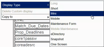 display type menu